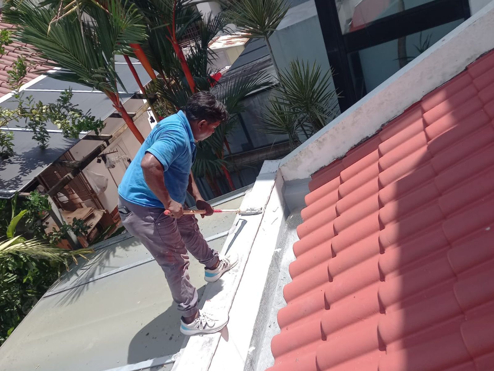 Roof & Wall Coating Services​
