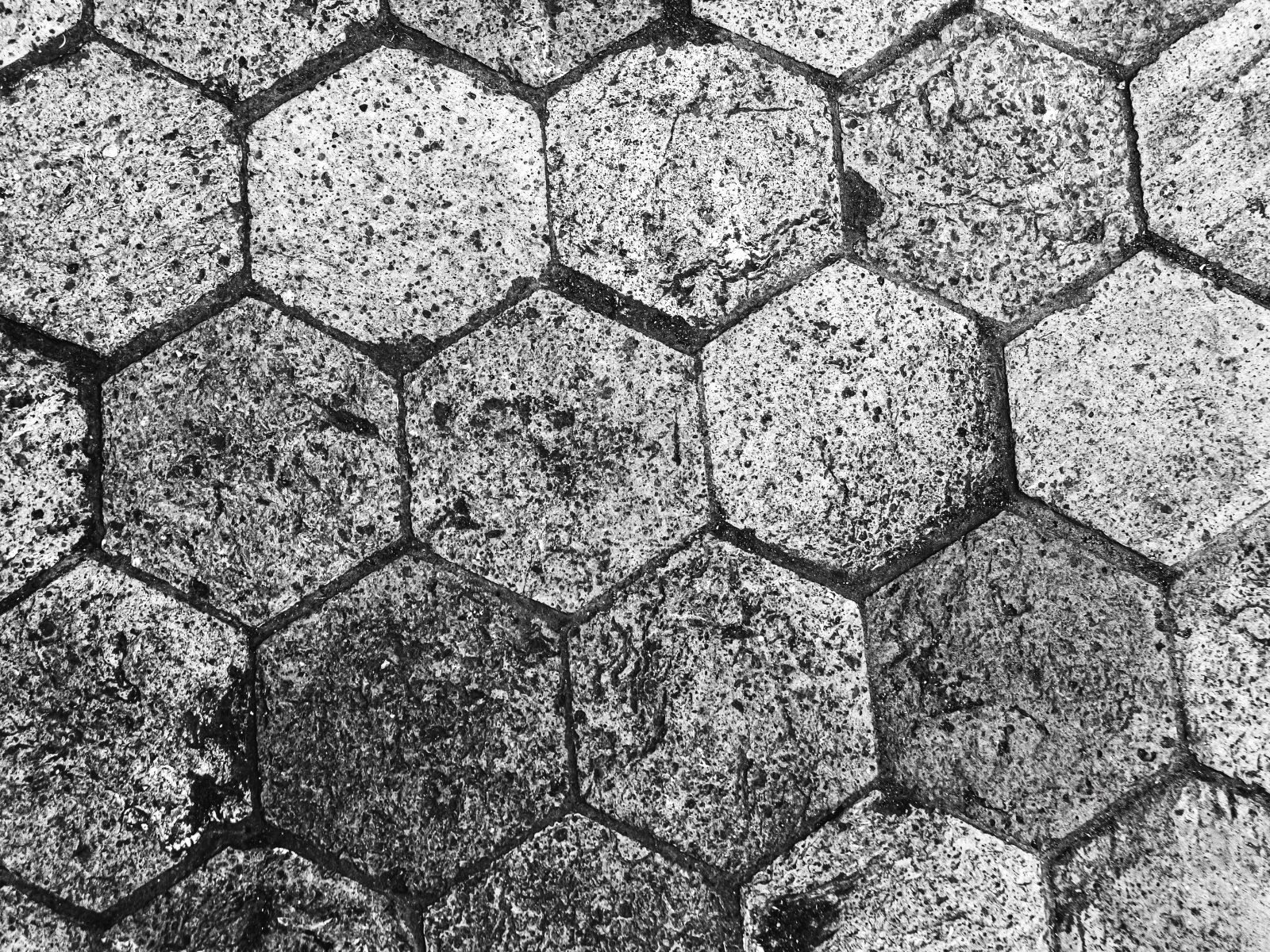 Textured & Patterned Concrete Finishes​